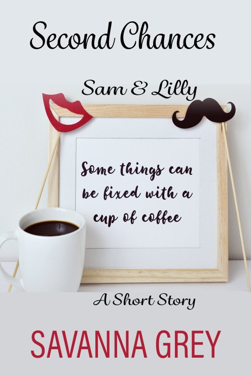 SecondChancesEbook
